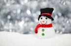 snowman in snow dressed up.jpg